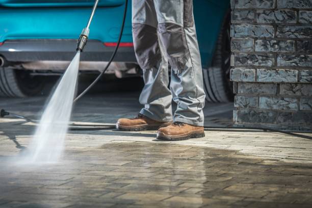 Best Dumpster Area Cleaning  in Lino Lakes, MN