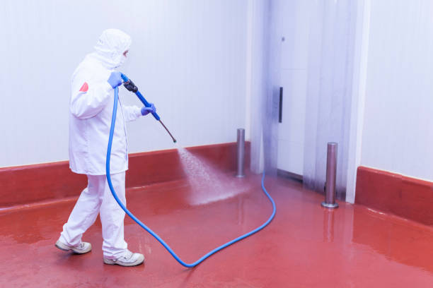 Best Boat and Dock Cleaning  in Lino Lakes, MN