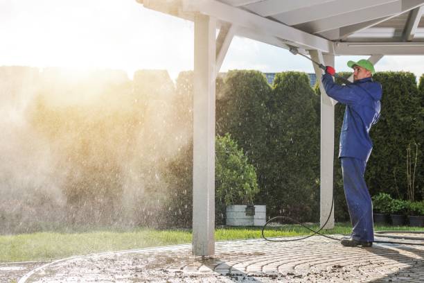 Best Gutter Cleaning  in Lino Lakes, MN