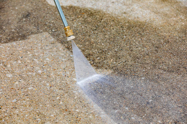 Best Sidewalk and Walkway Cleaning  in Lino Lakes, MN