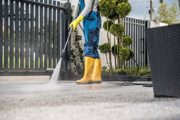 Best Pool Deck Cleaning  in Lino Lakes, MN
