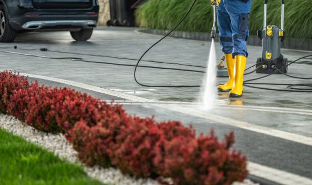 Best Fence Cleaning  in Lino Lakes, MN
